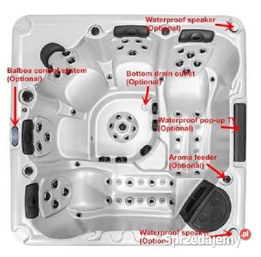 Jacuzzi zimowe ogrodowe SPA Balboa 220x220 Olkusz sprzedam