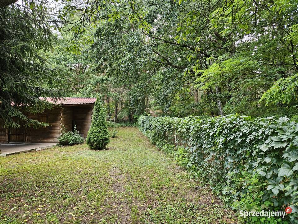 Działka budowlana 1798 m domek gospodarczy 37 m szambo Sprzedaż sprzedam
