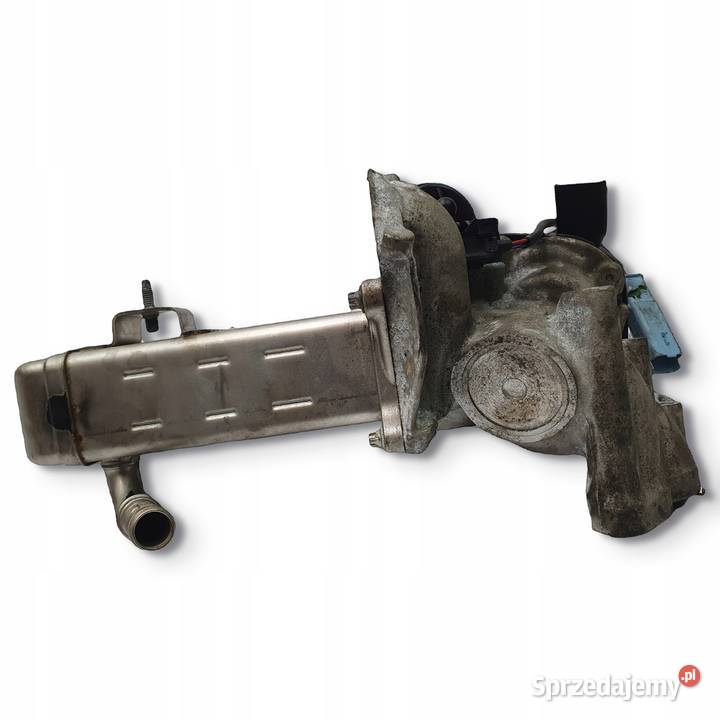 CHŁODNICA SPALIN EGR Ford Kuga 20 TDCI V29004027 Chełm