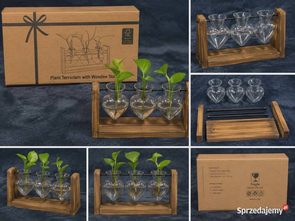 Terrarium szklane z drewnianą podstawą dekoracja Gostycyn
