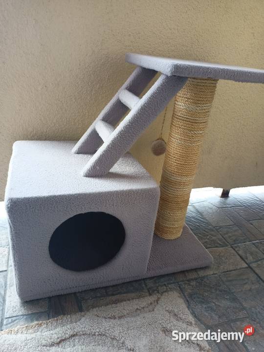 Drapak kota Włocławek sprzedam