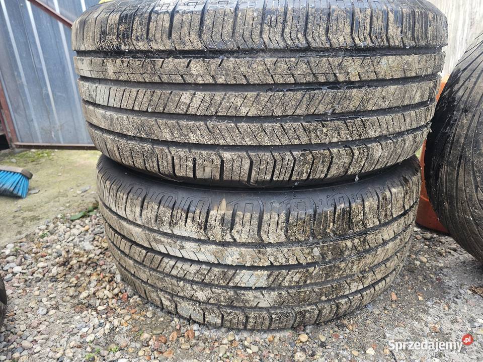 OPONA Hankook MavisTraction Uniroyal TigerPaw Ostrołęka