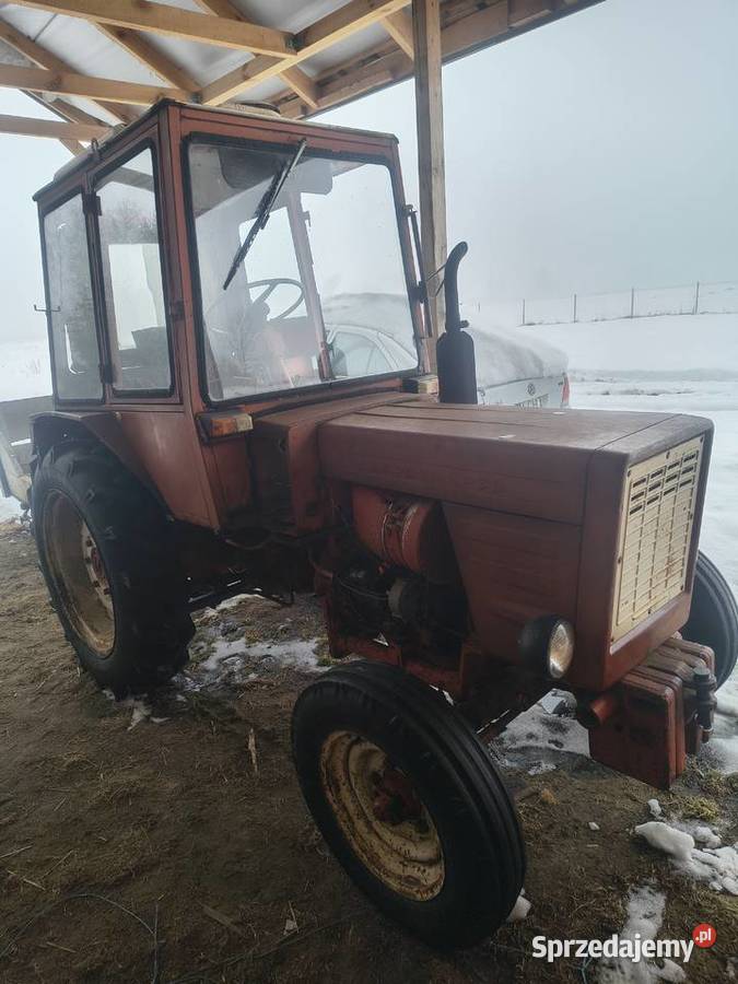 Sprzedam Władymira t25