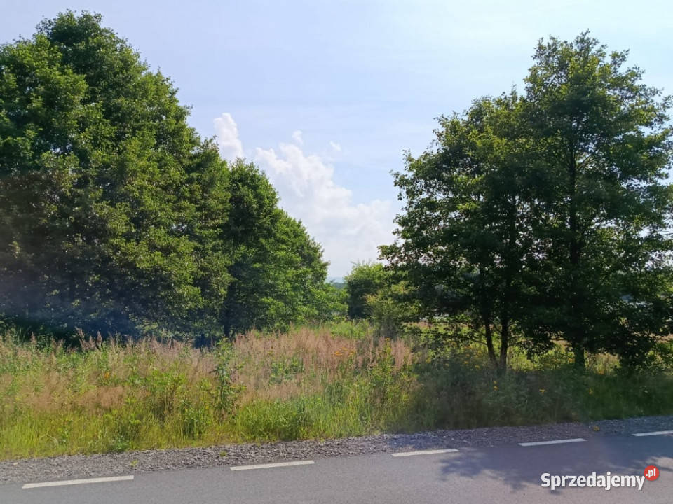 TEREN INWESTYCYJNOUSŁUGOWY 2299 m MPZP U2 5 śląskie Buczkowice