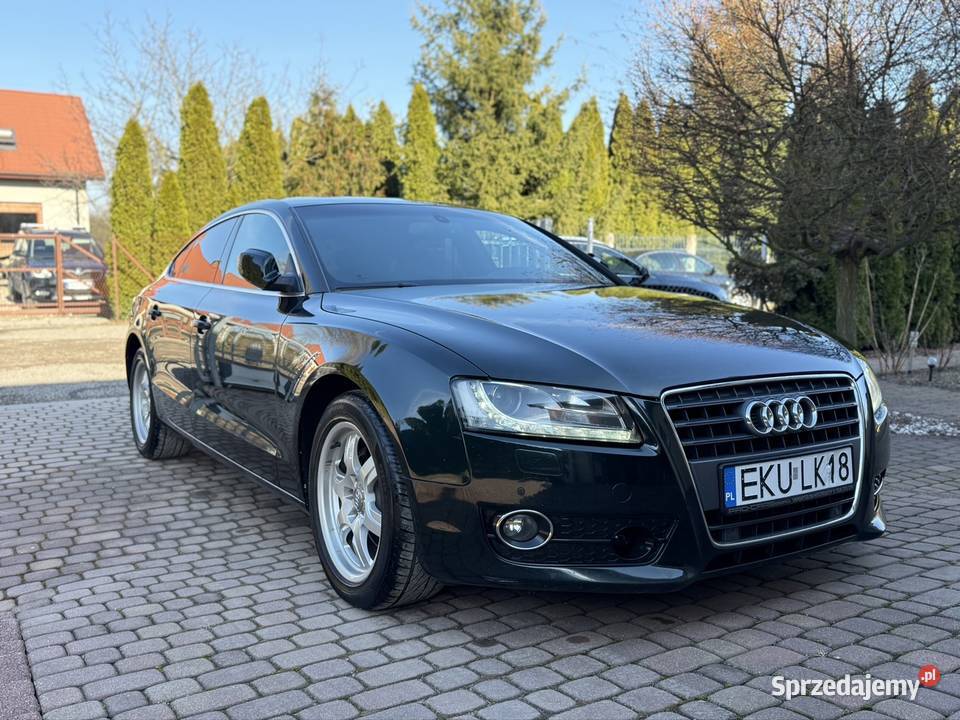 Audi A5 Sportback 20 TDI 170 Kamera Chrom Alu łódzkie Kutno sprzedam