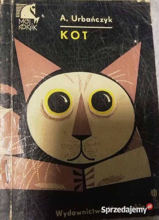 KOT z serii Mój Konik Kraków