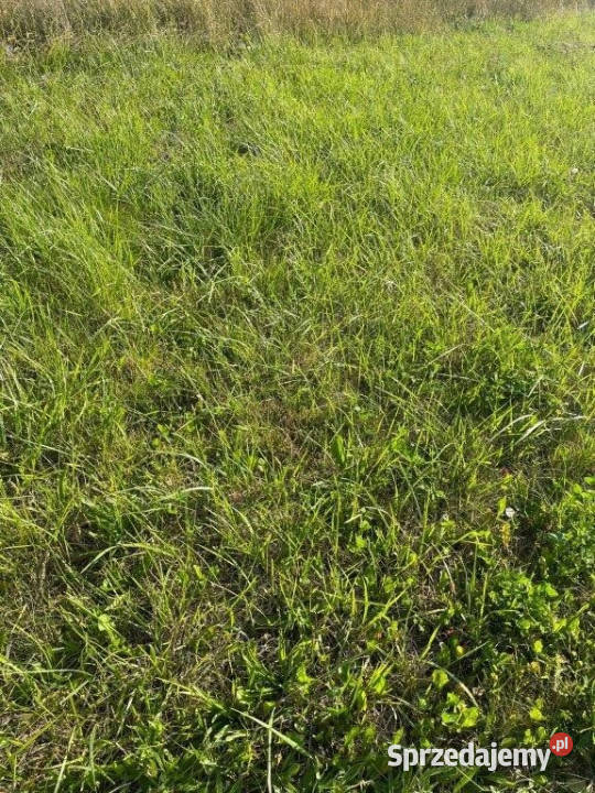 Działka 3000m2 Gąski 3000m2