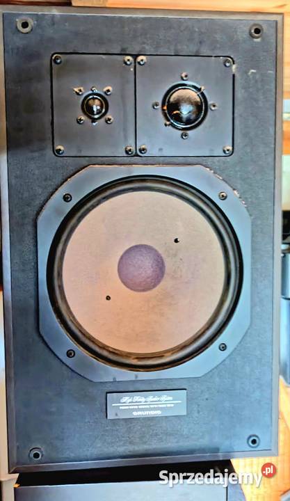 Kolumny Grundig box 1600 a 100150 Wat 4ohm Słuchawki i głośniki Kadzidło