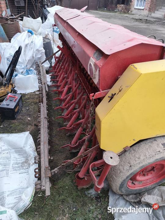 Siewnik poznaniak Kurowice