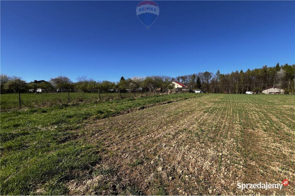 BLACK WEEKS Działka rolna w Pogórzu z utwardzona Pogórze