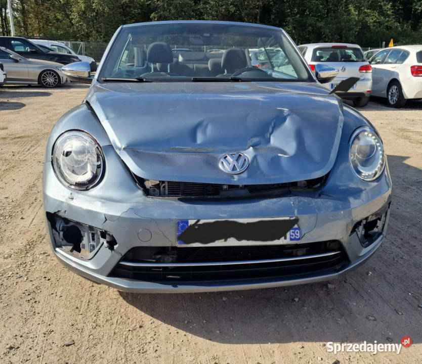 Volkswagen Beetle vw beetle coccinelle Pleszew
