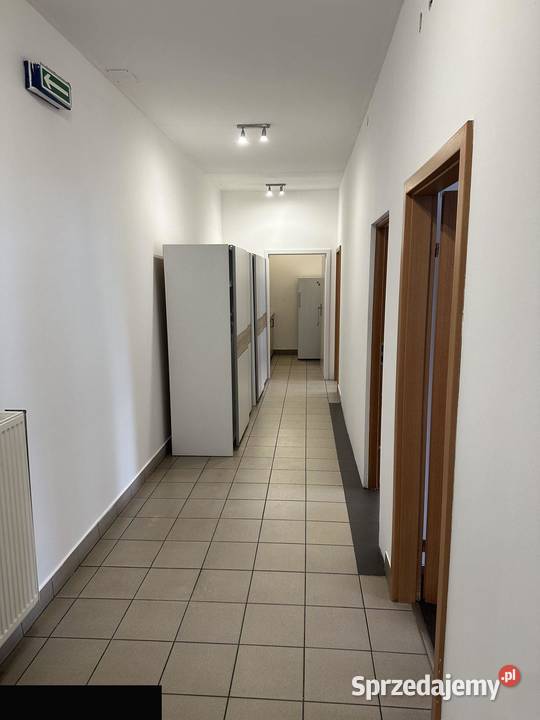 3 MIESIĄCE 12 CENY HalaMagazyn 1320 m Łódź