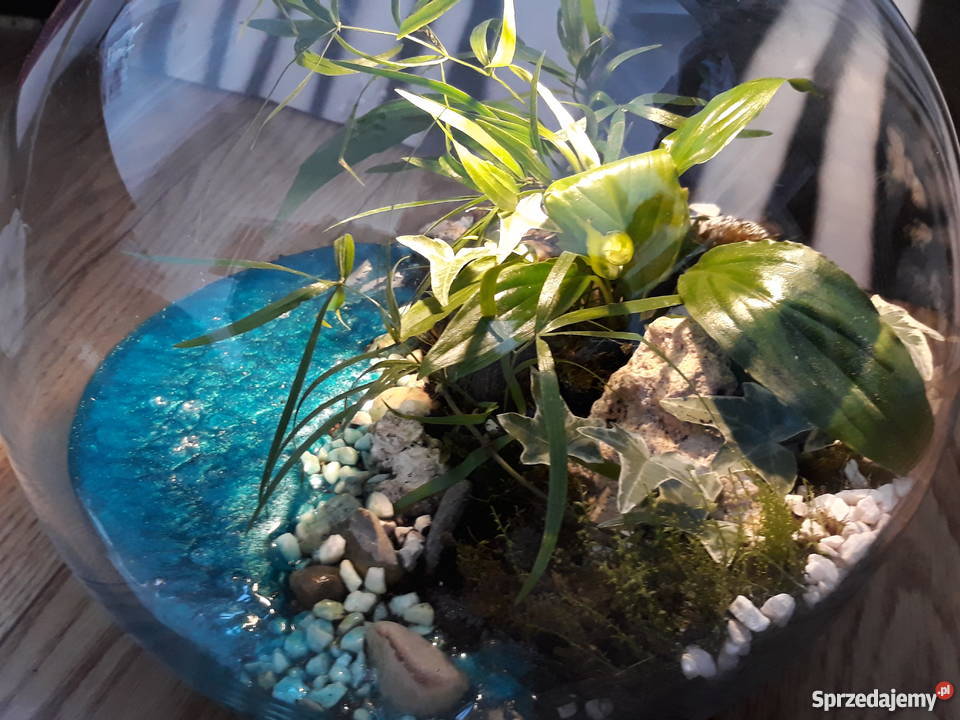 Las w szkle Rajska Wyspa Gdańsk