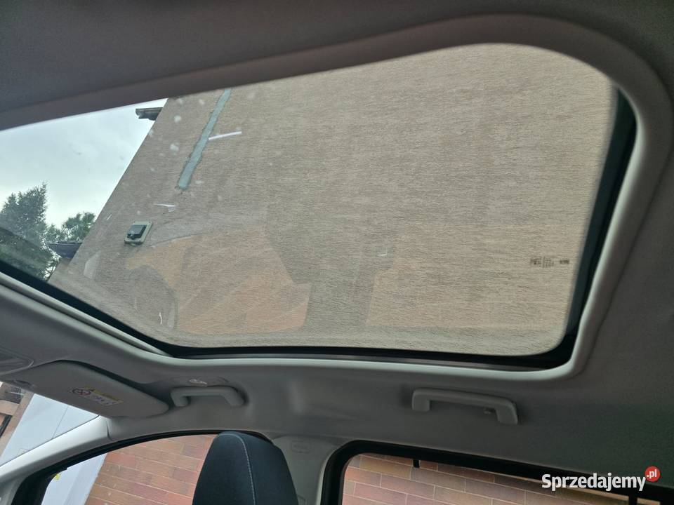 1 wlasciciela Kraków