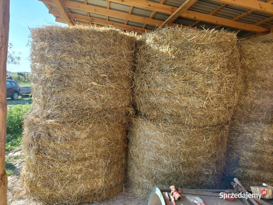 Sprzedam słomę Trawy, słoma Owadów