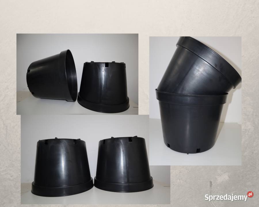 12LPB2 ogrodnik warzywa drzewka owocowe duże Zagnańsk