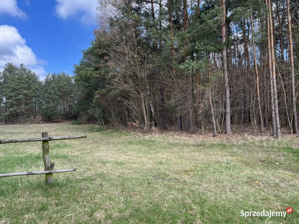działka 2618 m2 w OblasachKsiężę Sprzedaż Oblasy