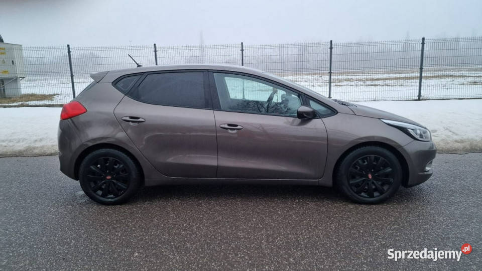 Kia Ceed 14MPI LPG GAZ 2014r 185 Salon Tempomat Pabianice