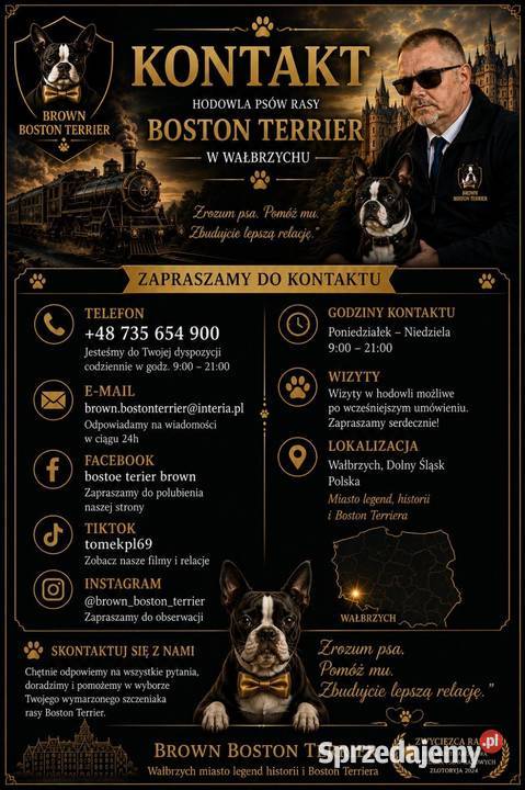 Behawiorysta psi trener z elementami Wałbrzych