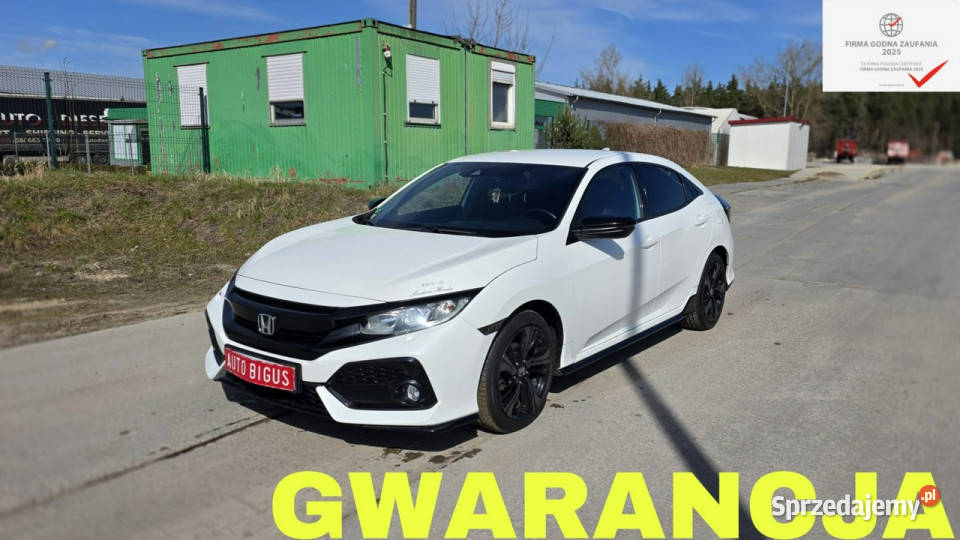 Honda Civic biala perla 10 ivtec ledy duza navi wielofunkcyjna kierownica