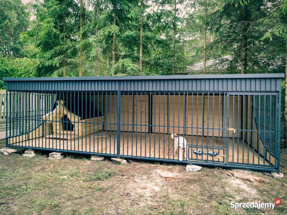 Kojec Mocny Psa Psów z podłogą miskami