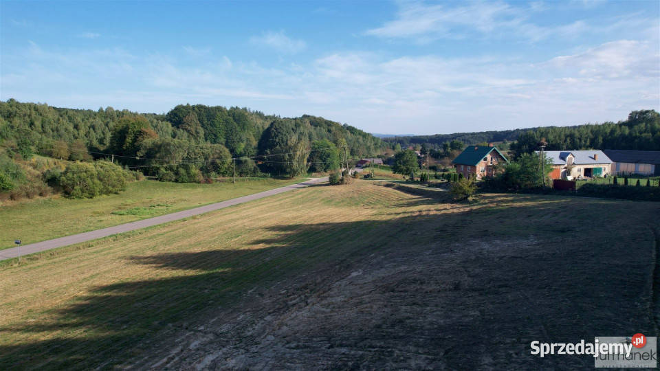 Działka TeodorówkaKolonia 2643m2 Teodorówka-Kolonia