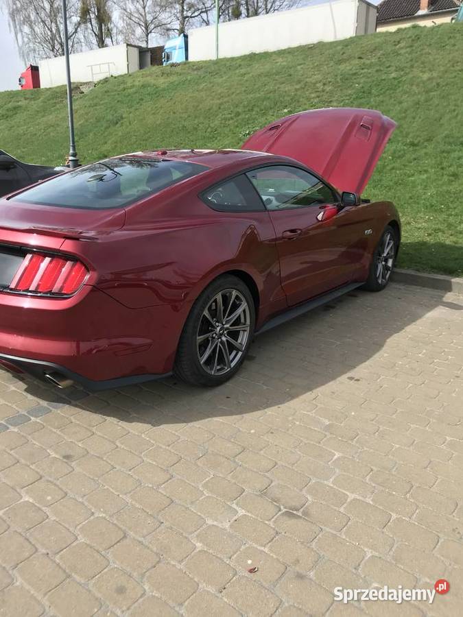 Mustang 2015 GT 50 Full wyposarzenie Mustang