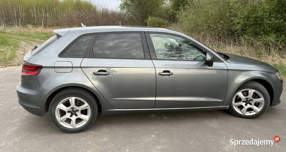 Audi A3 8V Sportback 16 TDI 184 Kleszczewo