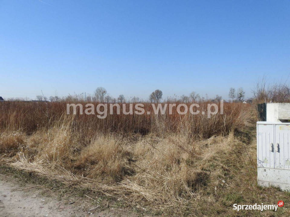 Działka zagrodowa w Suchym Dworze Sprzedaż dolnośląskie Suchy Dwór