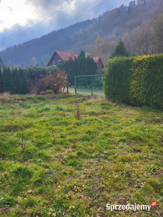 działka Rumiankowa śląskie Jaworze sprzedam