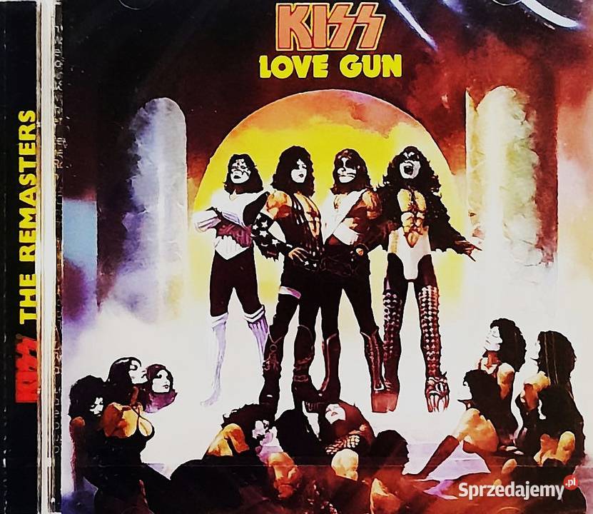 Album CD GUNS N ROSES Chinese Democracy CD podkarpackie Rzeszów sprzedam