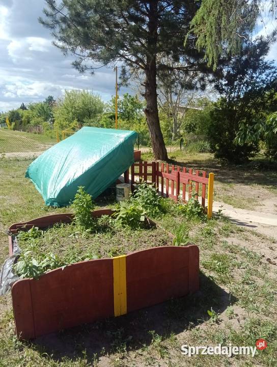 Syndyk sprzeda prawo do działki ROD Łask łódzkie