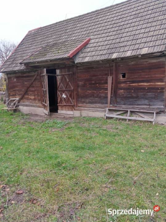 Sprzedam siedlisko z budynkami działka 1000 M2 Sprzedaż sprzedam