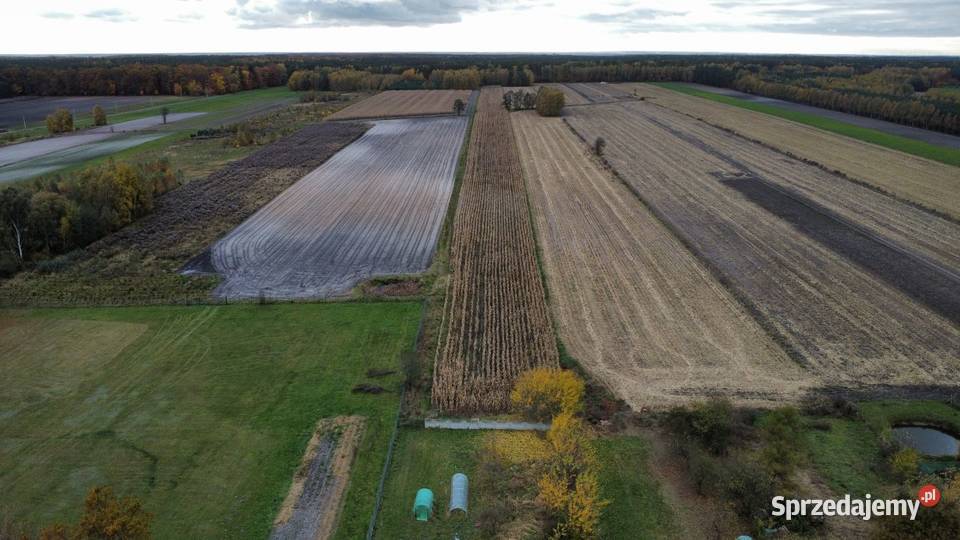 Dom z gospodarstwem 223ha Annopole Nowe