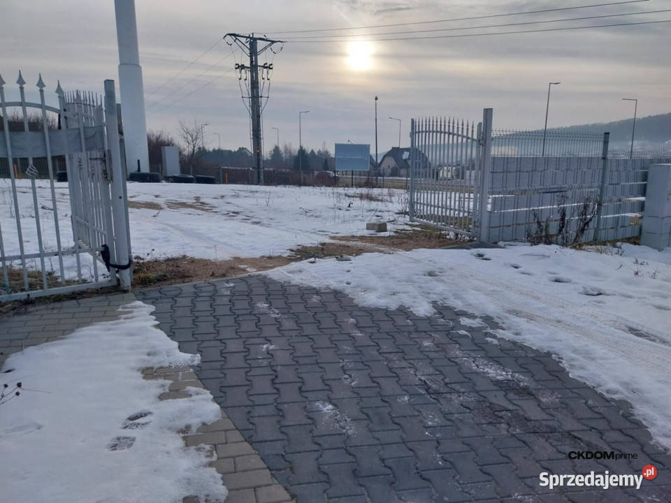 Plac do wynajęcia Chęciny sprzedam