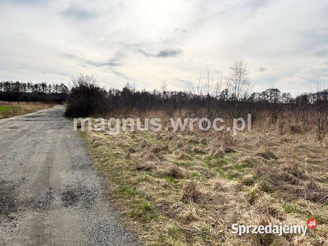 Na sprzedaż działka usługowa tuż lotnisku Wrocław