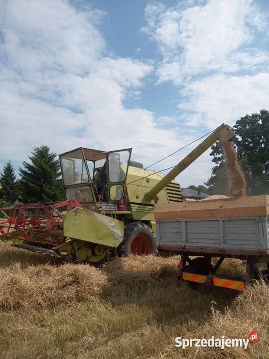 Claas senator Siemień sprzedam
