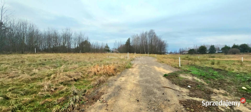 Działki budowlane w Okunince jeziorem Białym n 50m Grunty i działki lubelskie Okuninka