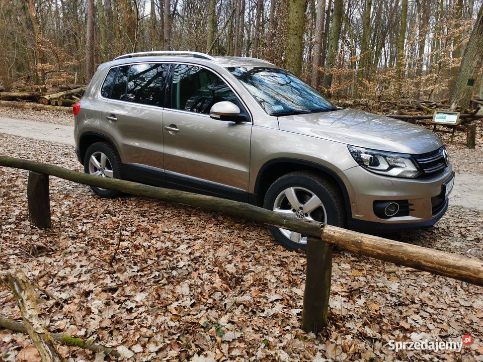 Vw Tiguan Tiguan Poznań