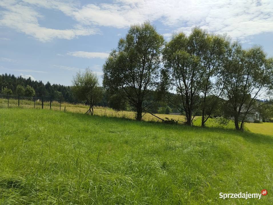 Sprzedam ziałka budowlana Łętownia woj 1200m2