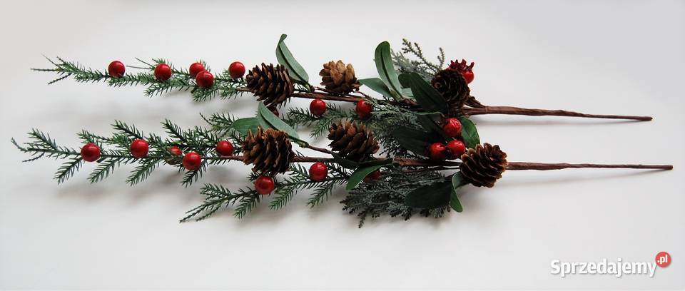 Gałązka świąteczna szyszki czerwone jagody 50 lubelskie Lublin sprzedam