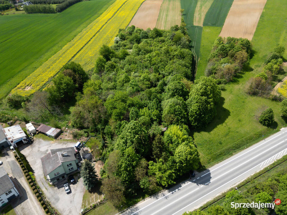Działka inwestycyjna usługowa 7426m2 Opatów świętokrzyskie