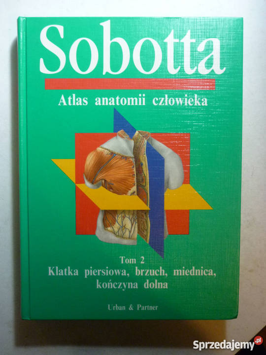 ATLAS ANATOMII CZŁOWIEKA TOM2 SOBOTTA