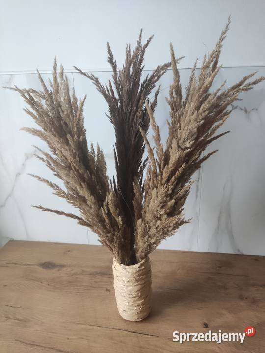 Suszone trawy palemki Kraśnik