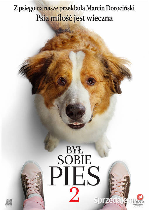 Zestaw filmów DVD Był sobie pies był sobie pies lubuskie Gorzów Wielkopolski