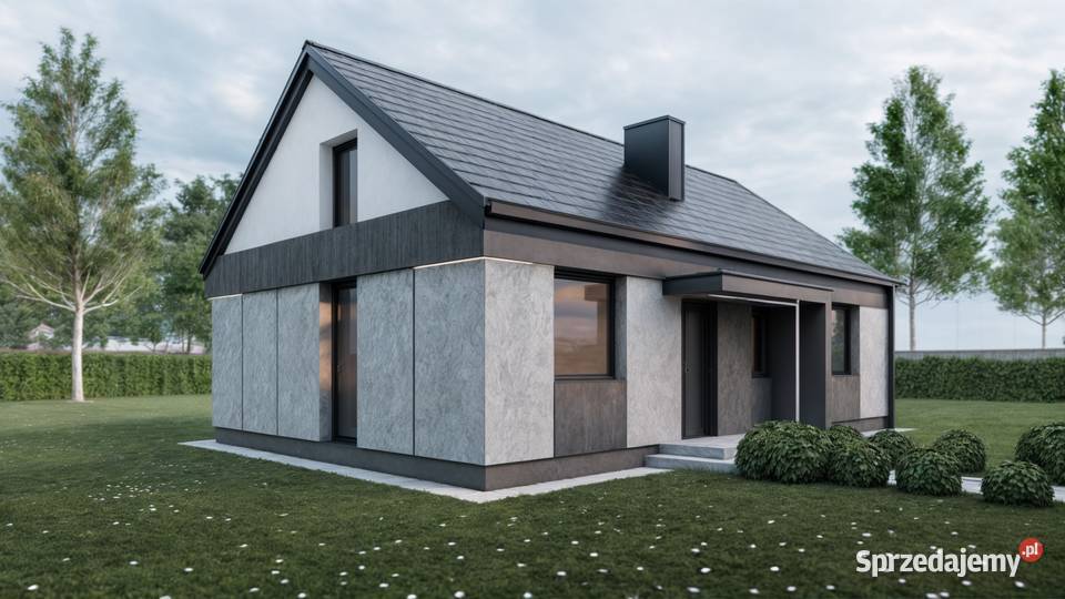 Projekt elewacji wizualizacja 3D Warszawa