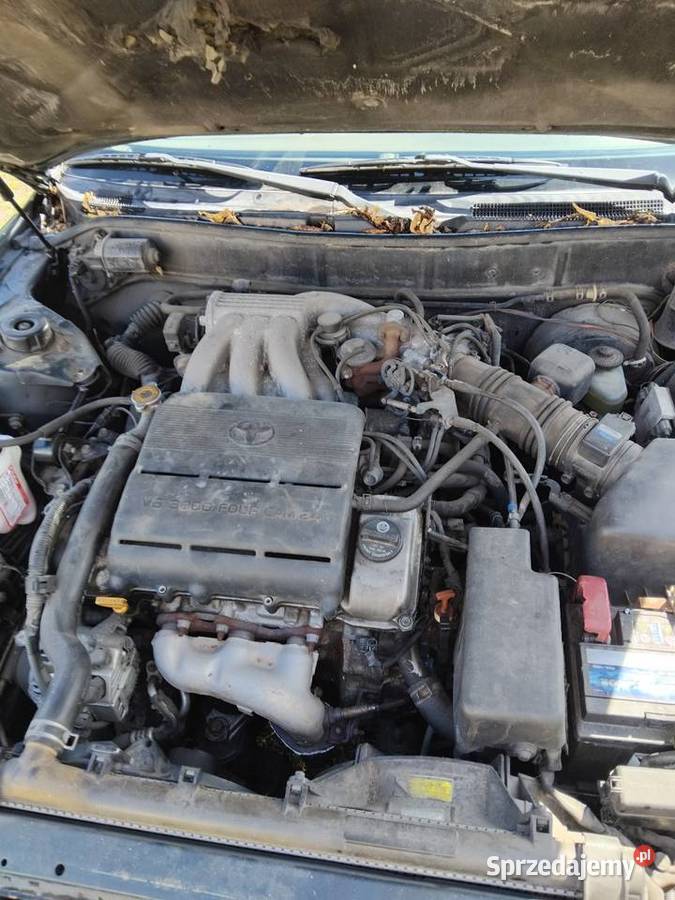 Toyota camry xv10 30v6kola zimowezarejestrowana Płock