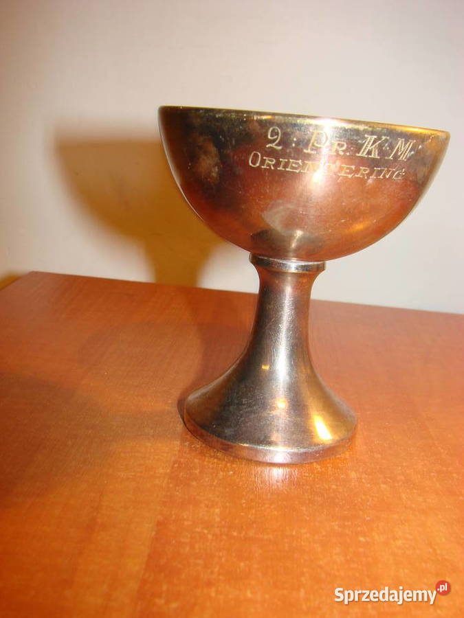 Orientering pucharek nagrodowy plater NS pomorskie Pruszcz Gdański sprzedam