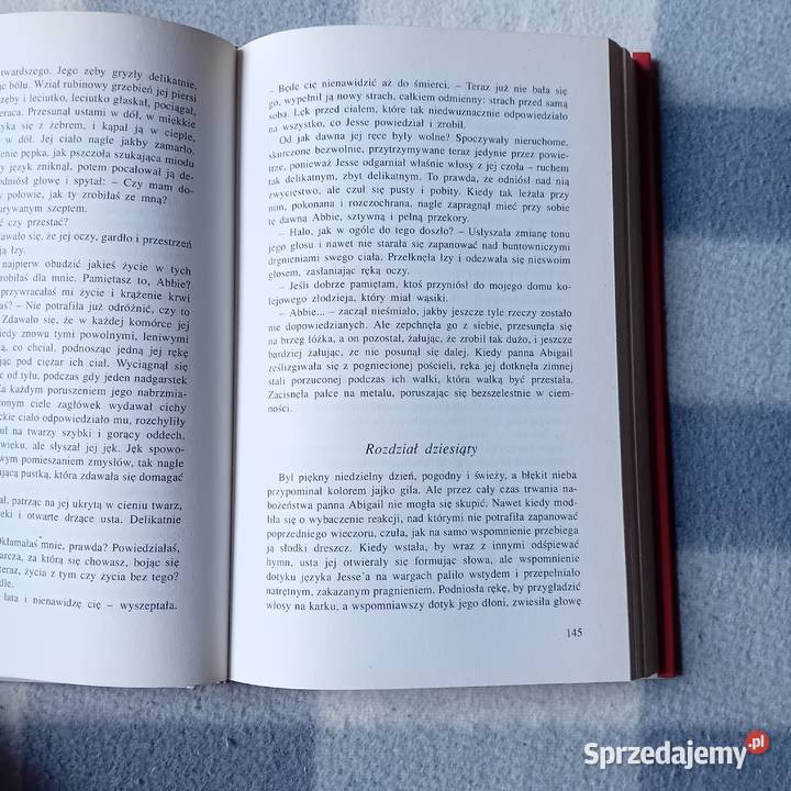 La Vyrle Spencer Koliberek Świat Książki 1995 r Koźminek