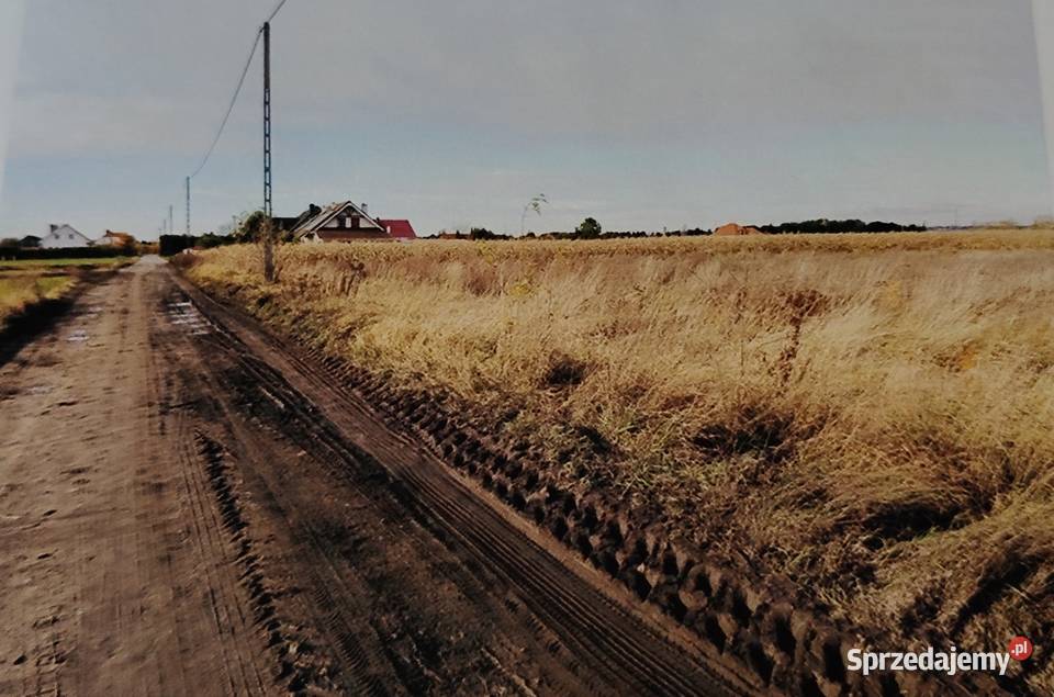 Syndyk sprzeda niezabudowaną działkę I przetarg Gorzów Wielkopolski sprzedam